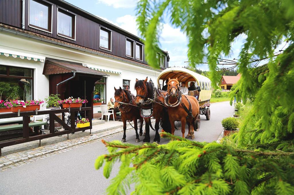 Gaststätte&Pension Waldquell Antonshohe Exteriör bild